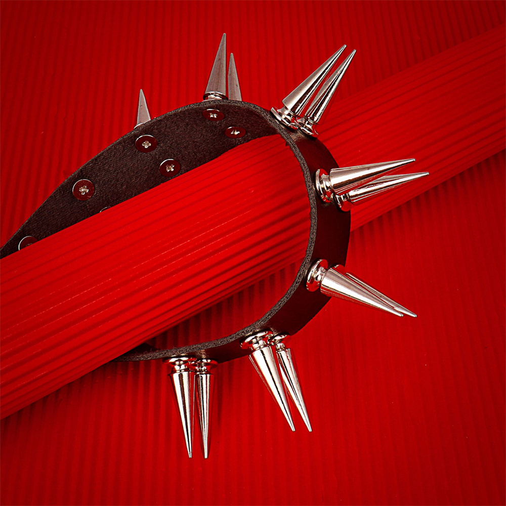 Long Spiked Choker Collar For  - Goth Punk Spike Choker 评论和价格
